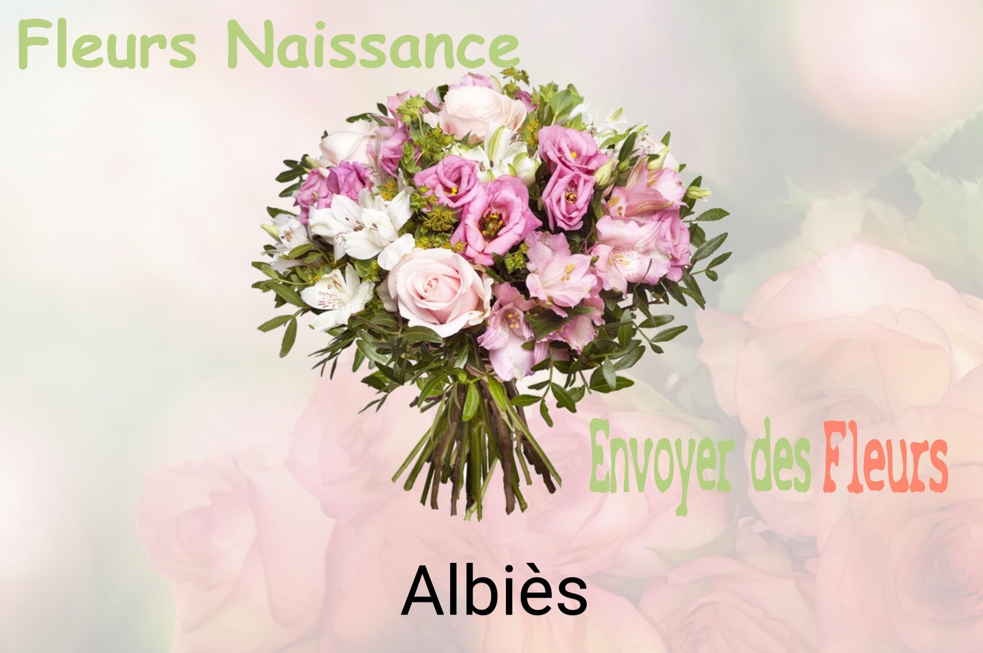 Bouquet de fleurs de naissance livré à Albiès